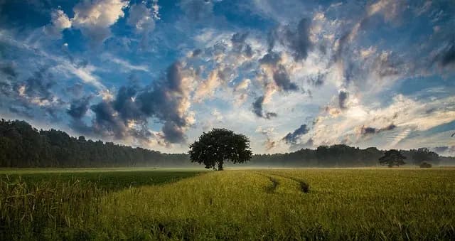 Guide d'achat épandeurs agricoles : Comparatif & conseils